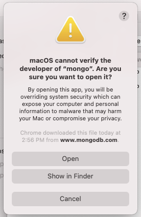 MongoDB confirm execution MongoDB confirm execution