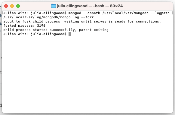 MongoDB start server MongoDB start server